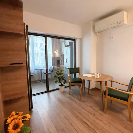 Cozy Iancului Metro * 布加勒斯特